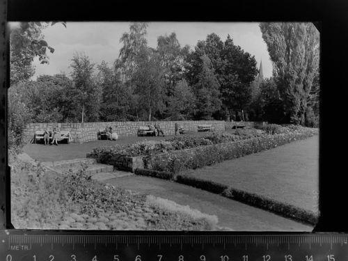 59227 W4730 Ahlen , Westf GLASNEGATIV Park
