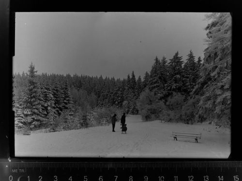 59955 W5788 Winterberg , Westf GLASNEGATIV Winter-AK
