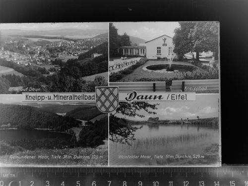 Daun Mehrfachbildkarte
