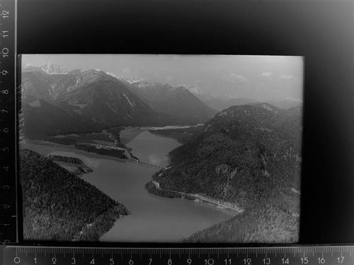 83661 W8172 Fall GLASNEGATIV