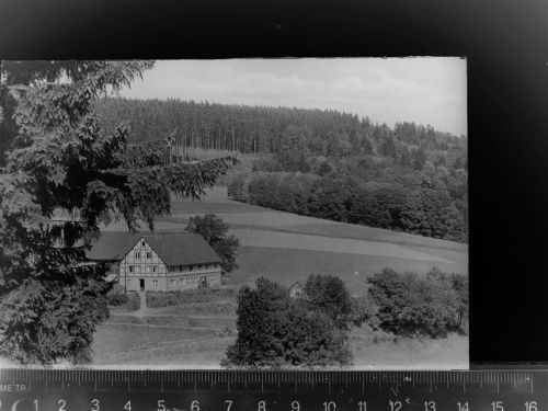 Bad Berleburg Pension Hof Steinbach