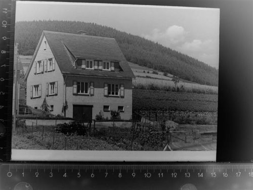 Willingen