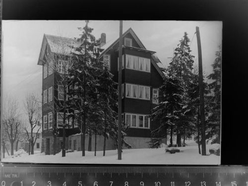 Hohegeiß Hotel