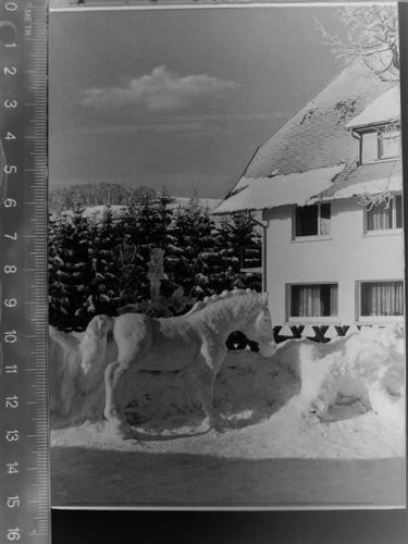 Bernau