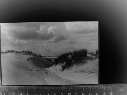 26465 W2941 Langeoog GLASNEGATIV