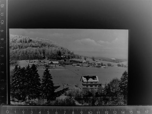 Willingen