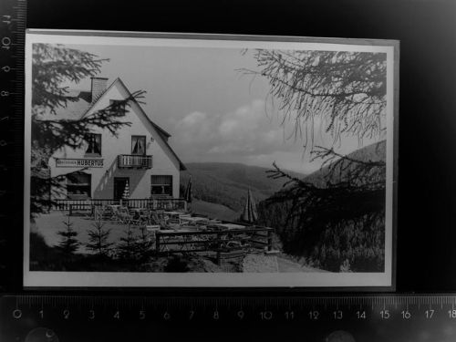 34508 W3542 Willingen (Upland) GLASNEGATIV Gästehaus Hubertus