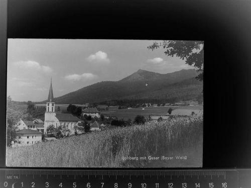 Lohberg Osser