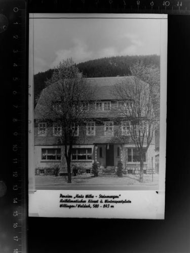 Willingen Pension Haus Wilke-Steinmergen