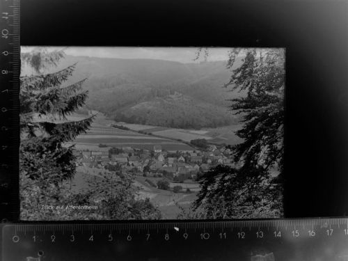 35110 W3559 Altenlotheim GLASNEGATIV