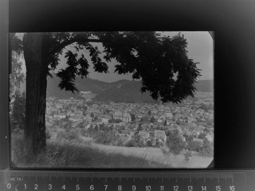Waldkirch