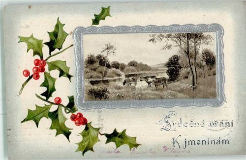 1908 Ilex Erika Nr. 3222
