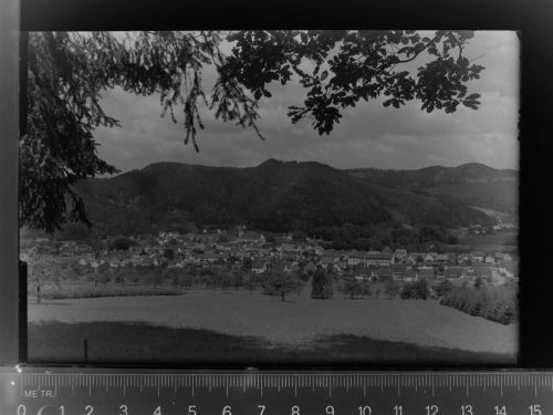 Zell