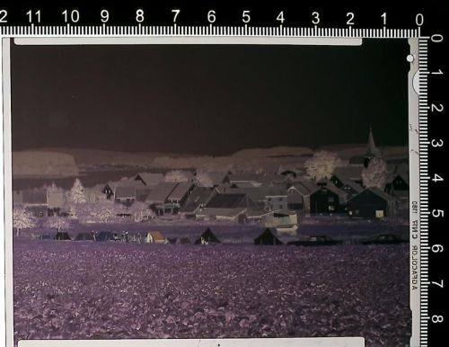 Dreifelden