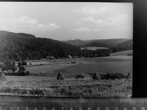 Essen Blick ins Hespertal