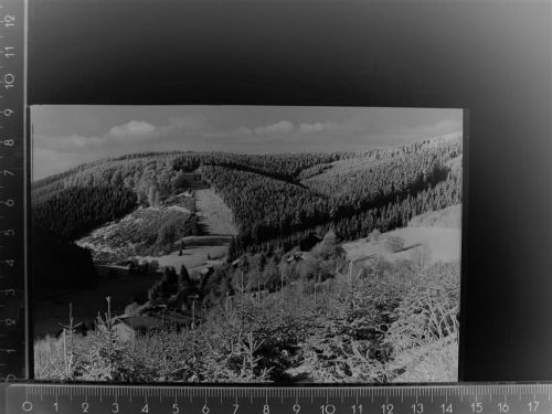 34508 W3542 Willingen (Upland) GLASNEGATIV