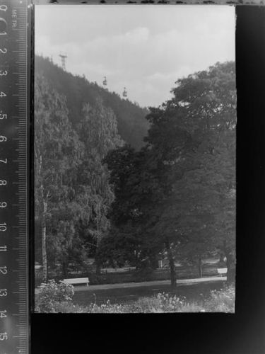 Bad Harzburg