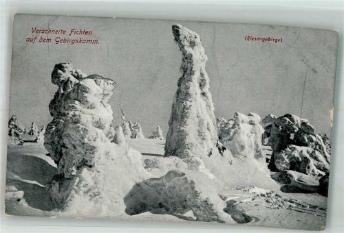 Schneekoppe Riesengebirge Verschneite Fichten