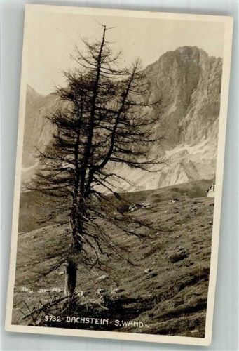 Dachstein Gebirge Hüttenstempel