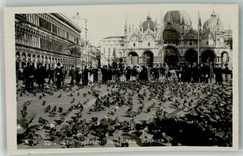 Venezia Tauben Piazza S. Marco