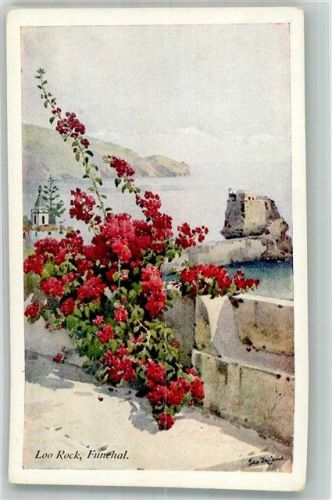 Funchal Flowers and Gardens of Madeira