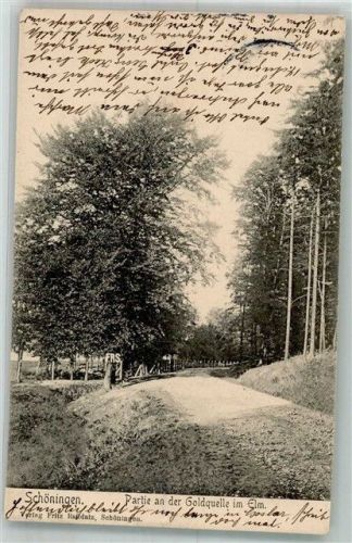 Schöningen 1914 Goldquelle im Elm