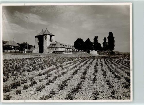 Schweigen Weintor
