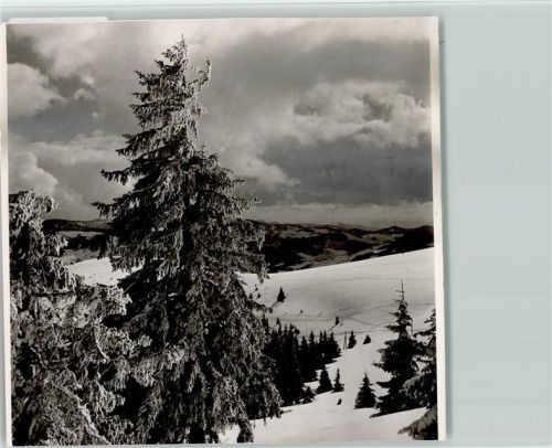 Schönau Winter