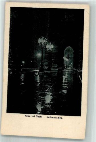Wien Rathaus- Rampe bei Nacht
