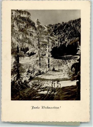 Skispuren im Winterwald