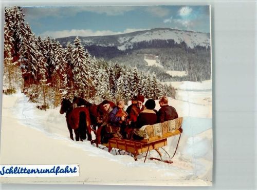 Bodenmais Pferdeschlittenfahrt