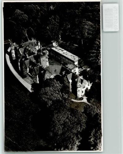 Waldleiningen Luftaufnahme Schloss