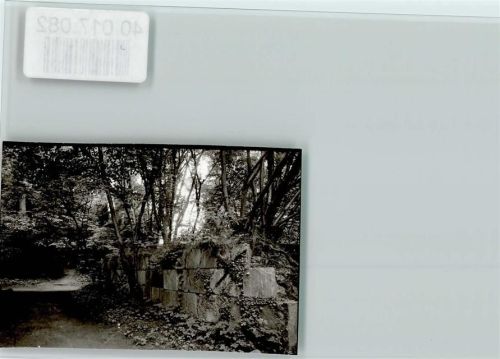 Heidmühle Ruine im Klosterpark