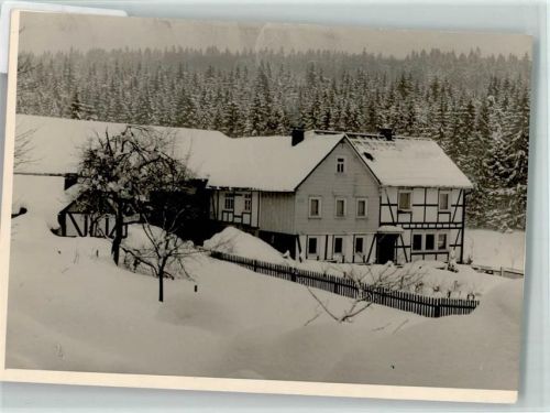 Zinse Winteraufnahme