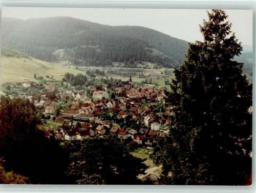 Lautenthal Ortsansicht