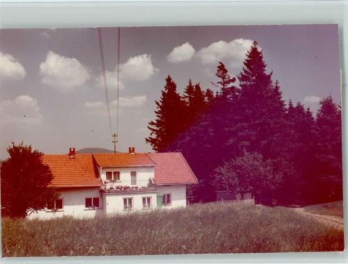 Warzenried