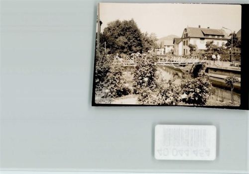 Kappelrodeck Staudenblumen an der Brücke