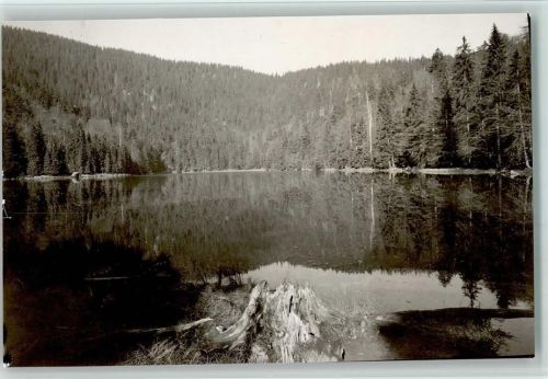 Spiegelau Stille am Rachelsee