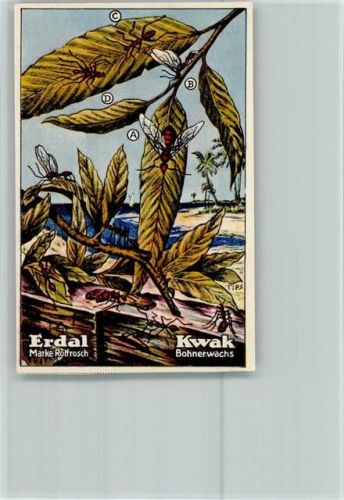 Erdal-Kwak Sammelbild Mimikry Serie 74 Bild 5