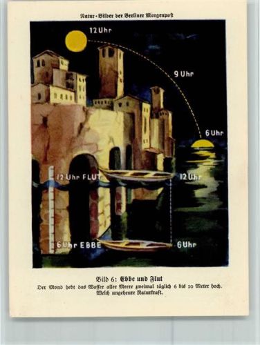 Naturbild Berliner Morgenpost 1933 Ebbe und Flut