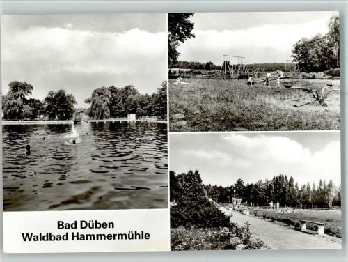 Bad Düben Waldbad Hammermühle Kinderspielplatz 3-Bildaufnahme