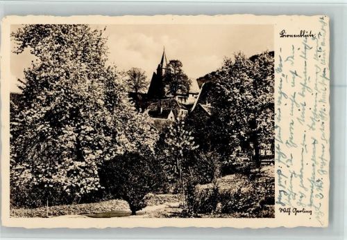 Zwingenberg Birnenblüte