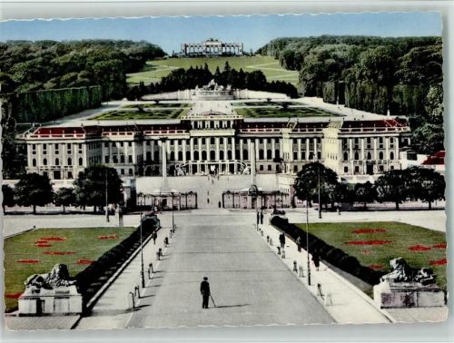 Wien Mann mit Schirm schaut auf das Schloß