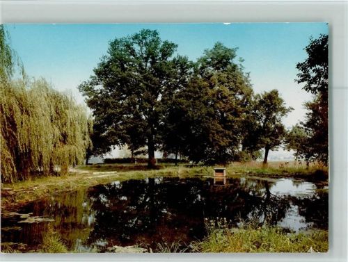Echte Teich