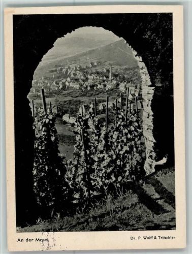 Rebberge an der Mosel Wein