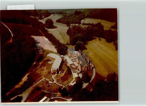 Waldleiningen Luftaufnahme Schloß