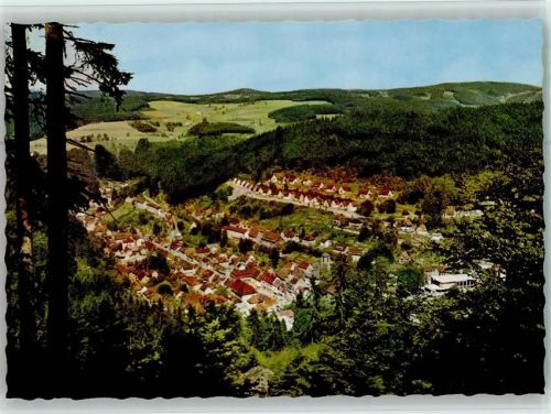 Triberg Blick auf Triberg