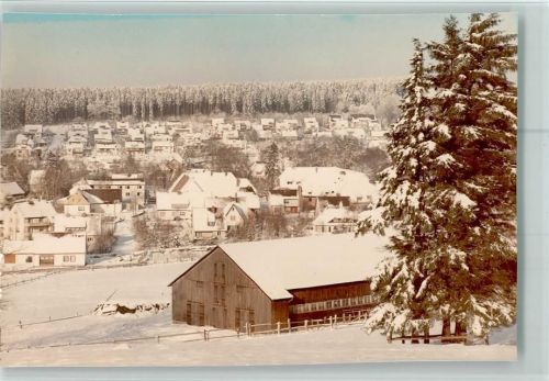 Neuhaus Winter im Ort