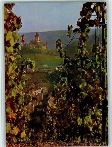 Cochem Weinberge Burg