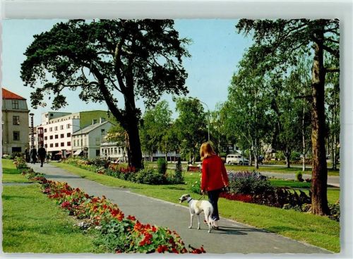 Lulea Parkmotiv Hund